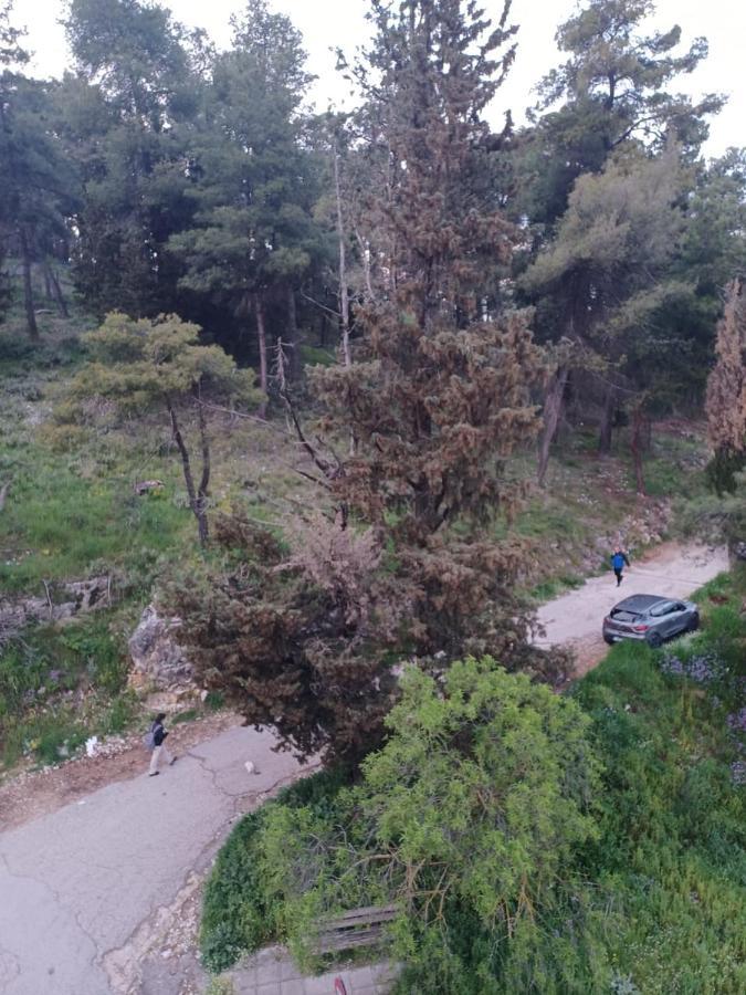 Apartmán Ένα Μέρος Για Ήσυχες Διακοπές Ioánnina Exteriér fotografie