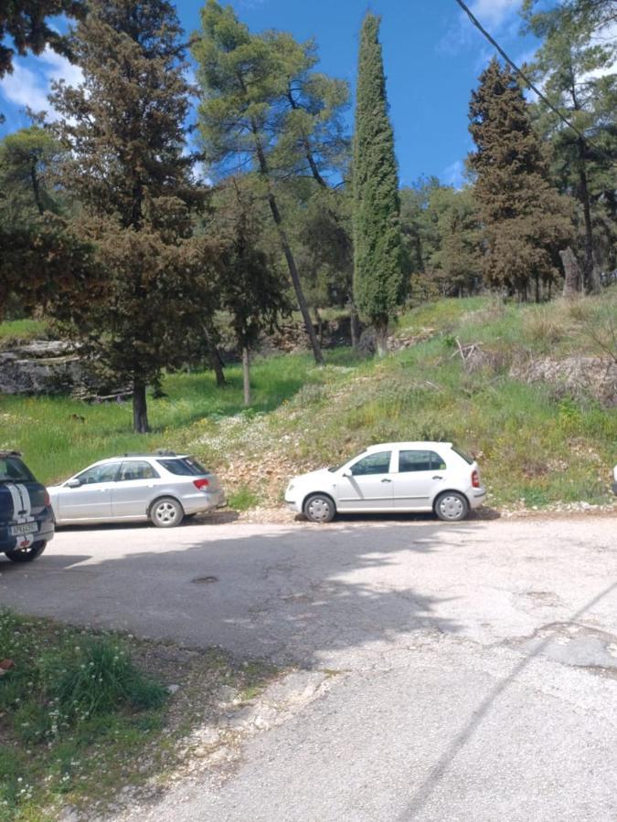Apartmán Ένα Μέρος Για Ήσυχες Διακοπές Ioánnina Exteriér fotografie